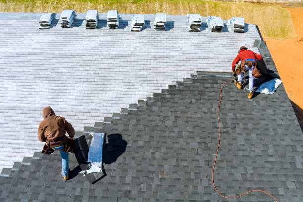 Best Roof Insulation Installation  in USA